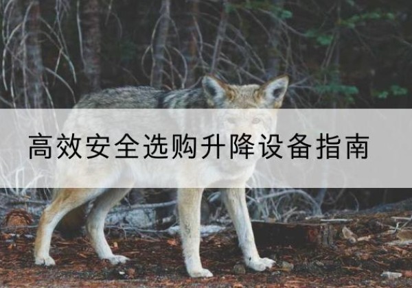 旬阳升降货梯厂家推荐-*安全选购升降设备指南