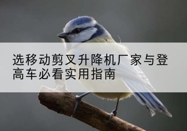 旬阳电动升降机厂家-选移动剪叉升降机厂家与登高车必看实用指南