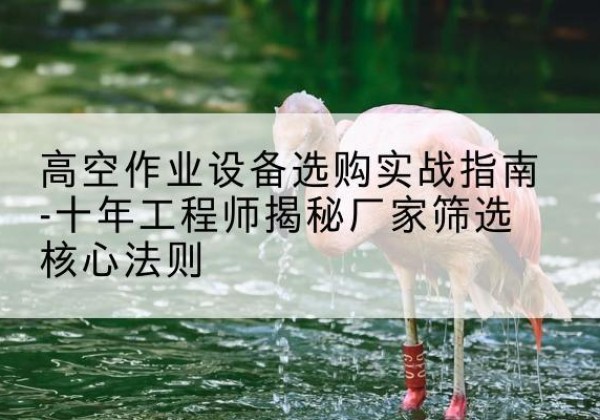 旬阳剪叉式升降机厂家-高空作业设备选购实战指南-十年工程师揭秘厂家筛选核心法则