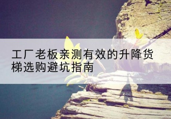 旬阳升降货梯怎么选-工厂老板亲测有效的升降货梯选购避坑指南